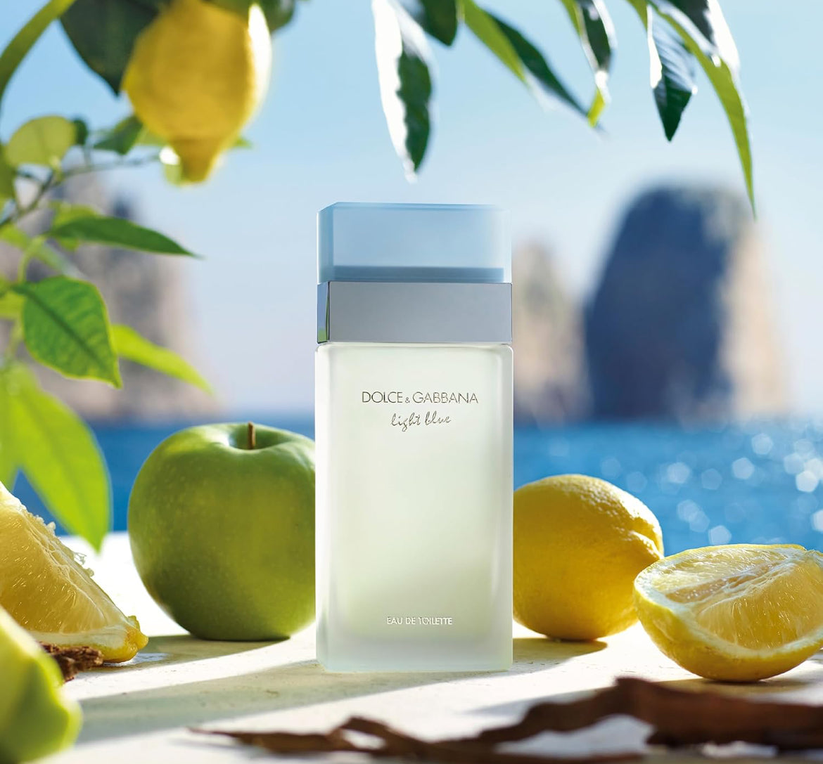 Dolce & Gabbana Light Blue Box, Eau De Toilette Spray, Fragrance For Women